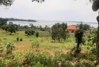 25 decimals plot of land for sale in Bugiri Entebbe road at 160m