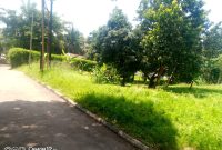 27 decimals plot of land for sale in Bunga Kalungu at 850m