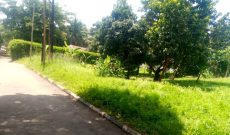 27 decimals plot of land for sale in Bunga Kalungu at 850m