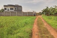 50x100ft Plots For Sale In Gayaza Kabubu At 25m Shillings Each