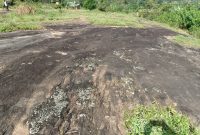 quarry site of 14 acres of granite rock for sale in Mukono at Nkokonjeru at 4.5 billion shillings