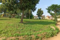 prime plot of 100x100ft of land for sale along Seeta Namugongo Road 140m