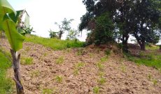 1 Acre plot for sale on Mutungo hill. Price UGX 2.7Bn