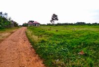 19 plots of land of 50x100ft for sale in Namulonge