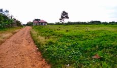 19 plots of land of 50x100ft for sale in Namulonge