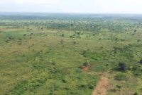 8 square miles of land for sale in Nakaseke District 7m per acre