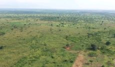 8 square miles of land for sale in Nakaseke District 7m per acre