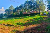 15 plots of land of 50x100ft for sale in Kira Bulindo