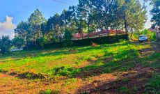 15 plots of land of 50x100ft for sale in Kira Bulindo