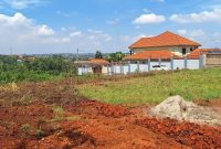 land on sale in Kira measuring 20 decimals near Shimon
