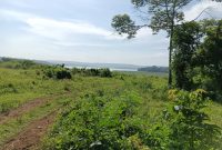 38 Acres Lake View Land For Sale In Mukono Kisoga Bunankanda 45m per acre
