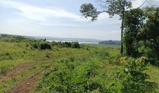 38 Acres Lake View Land For Sale In Mukono Kisoga Bunankanda 45m per acre