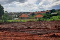 30 plots of land of 50x100ft for sale in Kira Mulawa 90m