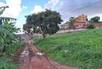 a plot of land of 12.5 decimals for sale in Kira Mulawa 78m