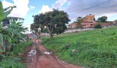 a plot of land of 12.5 decimals for sale in Kira Mulawa 78m