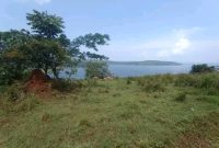 land for sale in Buikwe district of 100 acres at 15m per acre