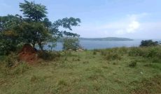 land for sale in Buikwe district of 100 acres at 15m per acre