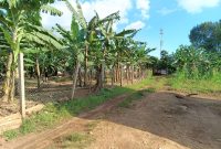 plot of 100x100ft of land for sale in Sonde at 170m