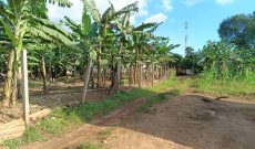 plot of 100x100ft of land for sale in Sonde at 170m