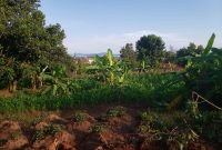 a plot of land for sale in Muyenga with a lakeview of 30 decimals 800m