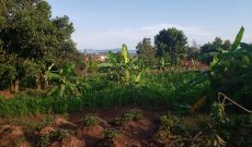 a plot of land for sale in Muyenga with a lakeview of 30 decimals 800m