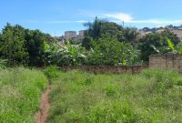 plot of land of 25 decimals for sale in Kireka
