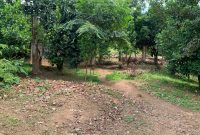 land for sale measuring 1 acre in Buziga, Kampala 1.4 billion shillings