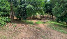 land for sale measuring 1 acre in Buziga, Kampala 1.4 billion shillings