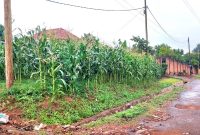 13 Decimals Plot Of Land For Sale In Mbalwa At 120m