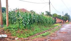 13 Decimals Plot Of Land For Sale In Mbalwa At 120m