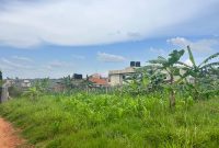 50 Decimals Plot Of Land For Sale In Kulambiro At 750m