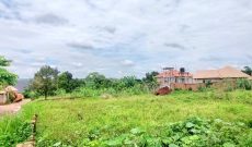 25 Decimals Plot Of Land For Sale In Namugongo Jinja Misindye At 85m