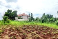 100x100ft Plot Of Land For Sale In Bweyogerere Buto 180m
