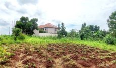 100x100ft Plot Of Land For Sale In Bweyogerere Buto 180m