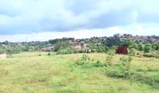 2 Acres Of Land For Sale In Namugongo Jogo Town At 500m