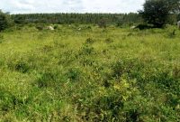 Land for sale in Nwoya