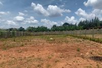 50 Decimals Plot Of Land For Sale In Kulambiro At 500m