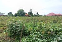 2 acres of land for sale in Jogo Budugara at 240m for all