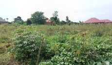 2 acres of land for sale in Jogo Budugara at 240m for all