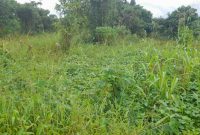 400 Acres Of Land For Sale In Kiwoko Nakaseke District 5m Per Acre