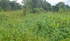 400 Acres Of Land For Sale In Kiwoko Nakaseke District 5m Per Acre