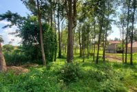 40 Decimals Plot Of Land Magere Along Gayaza Road At 180m