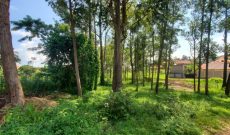 40 Decimals Plot Of Land Magere Along Gayaza Road At 180m