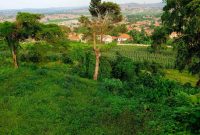 Half Acre Plot Of Land For Sale In Bira Hill Bulenga At 500m Shillings