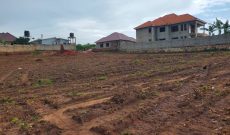 50x100ft Plots Of Land For Sale In Gayaza Nakwero At 65m Each