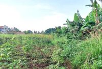 50 Decimals Plot Of Land For Sale In Kira Kitukutwe At 170m