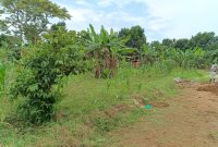 Plots For Sale In Mukono Mpoma Satellite 200 Meters From Tarmac From 30m