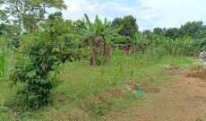 Plots For Sale In Mukono Mpoma Satellite 200 Meters From Tarmac From 30m