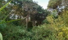 28 Acres Of Land For Sale In Ngaaju Butuntumula Luwero 8m Per Acre