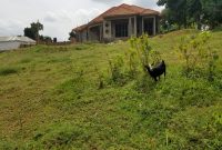 23 Decimals Plot Of Land For Sale In Nakwero Kira 80m